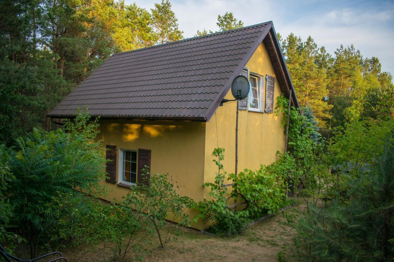 Gospodarstwo Agroturystyczne Nad Jeziorem Wsrod Lasow Lipnica  ภายนอก รูปภาพ