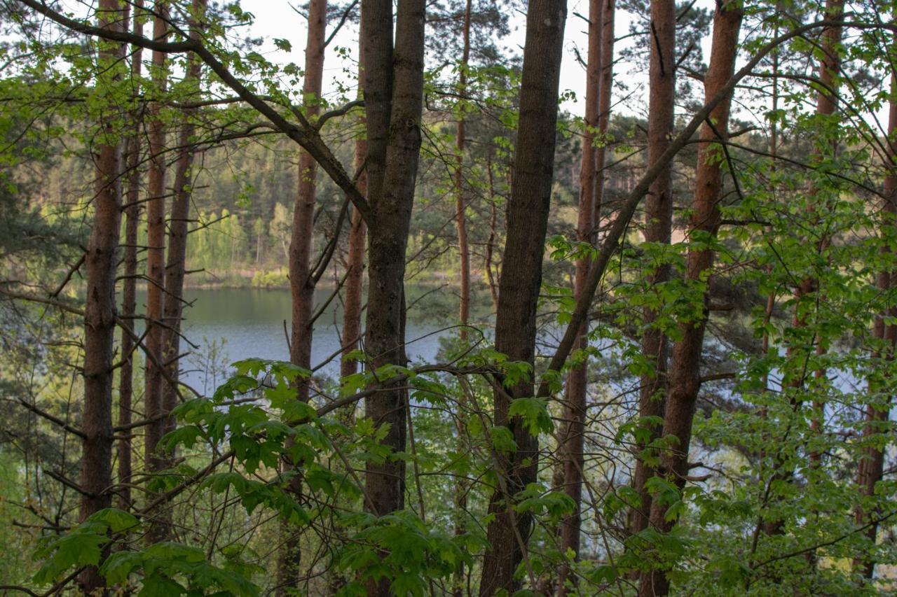Gospodarstwo Agroturystyczne Nad Jeziorem Wsrod Lasow Lipnica  ภายนอก รูปภาพ