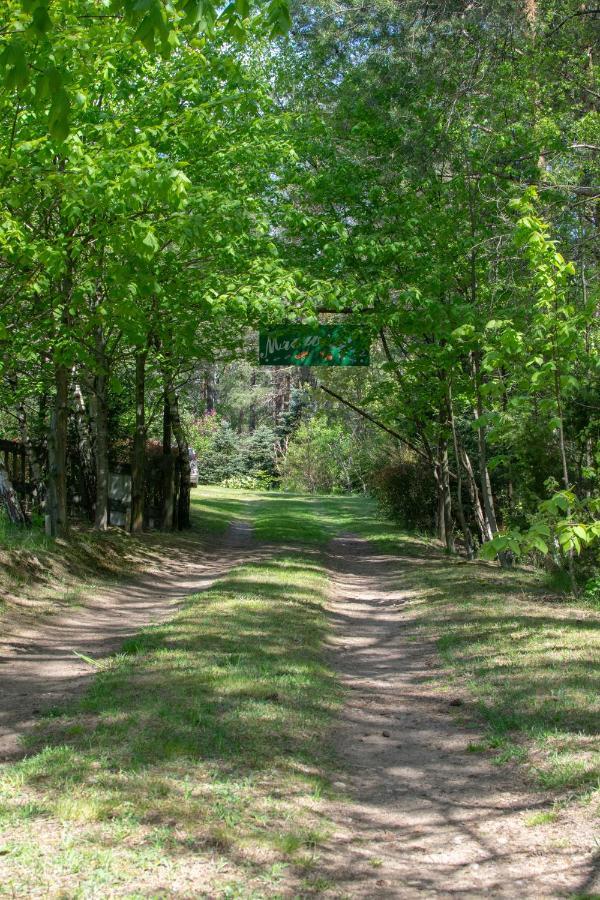Gospodarstwo Agroturystyczne Nad Jeziorem Wsrod Lasow Lipnica  ภายนอก รูปภาพ